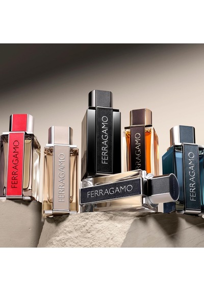 Salvatore Ferragamo Ferragamo Red Leather Eau De Parfum 100 Ml Erkek Parfüm, 5003155800 Diğer