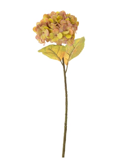 Mudo Home Ortanca Çiçek Amber 54 Cm Sarı