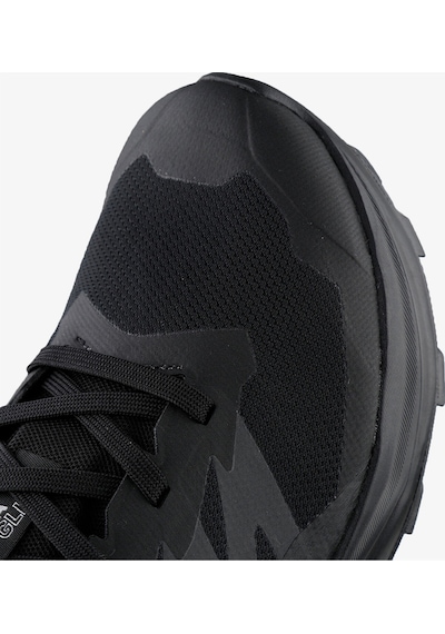 Salomon Erkek Koşu/fıtness Ayakkabı Alphaglıde Gore-tex L47802100 Siyah