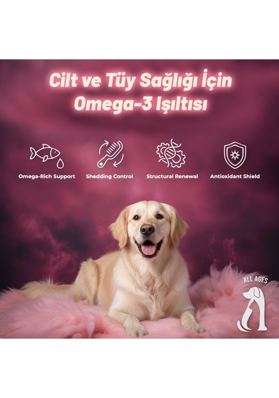 Perlina Cilt Ve Tüy Sağlığı Tablet