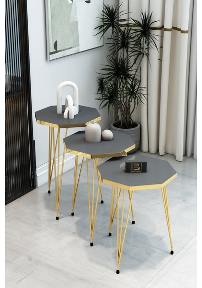 3'lü Sekizgen Zigon Sehpa Seti - Gold Metal Ayaklı, Modern & Şık Yan Sehpa, Dayanıklı Salon Ofis Antrasit