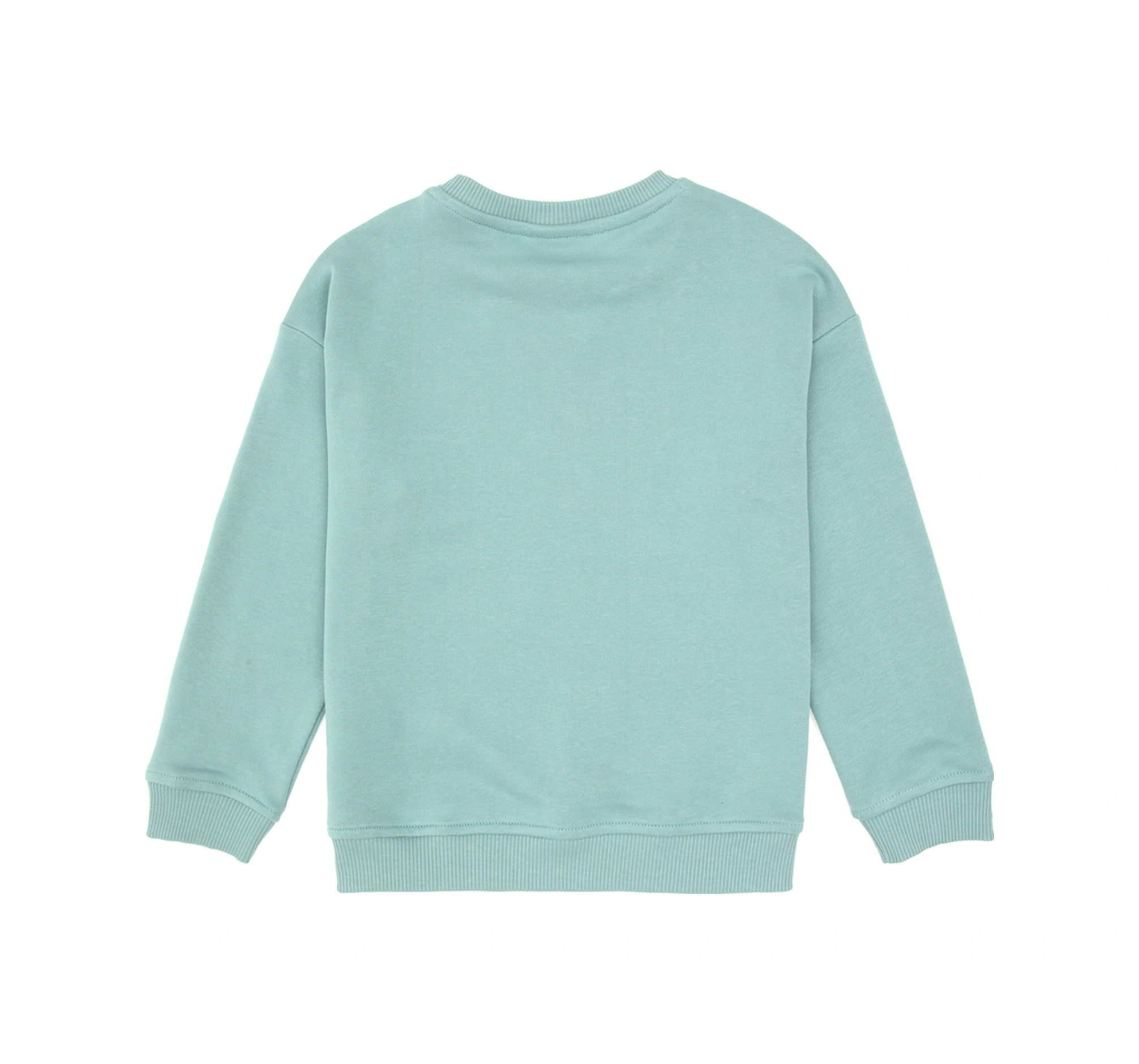 U.S. Polo Assn. Erkek Çocuk Mint Bisiklet Yaka Basic Sweatshirt 50313829-VR090