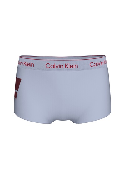 Calvin Klein Kadın Külot Lv00qf8613clc Mavi