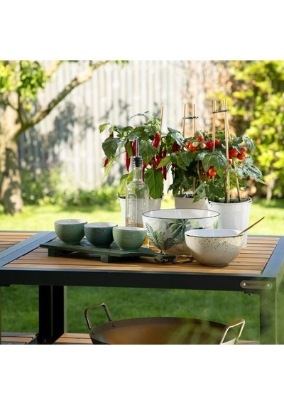 Big Green Egg Akasya Raf