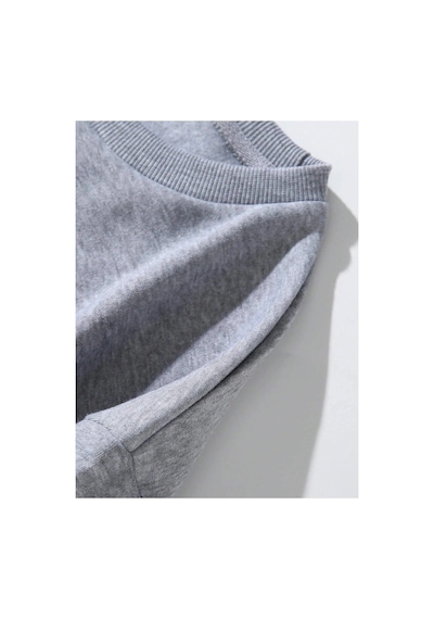 Tarzsokak American Flag & Letter Graphic Lined Sweatshirt Gri