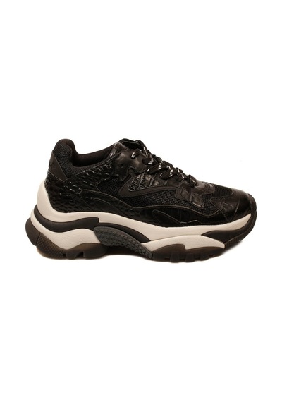 Ash Bayan Sneaker Addict Siyah
