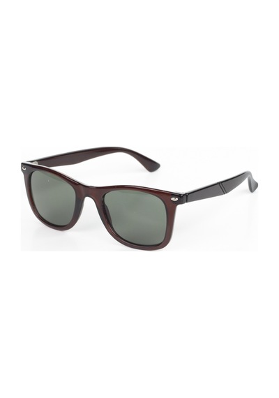 Focus On TS006 Loki Brown Polarize Erkek Güneş Gözlüğü