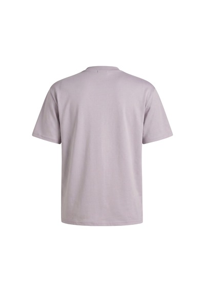 Genius Store Erkek Tişört Basic Bisiklet Yaka Tişört Rahat Kesim Dökümlü Günlük Spor Tshirt Gri