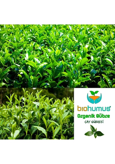 Çay İçin, Organik Gübre, Organik Sertifikalı, Kök Geliştirici, Toprak Düzenleyici, Bitki Besleyici 25 Kg 1 0,250