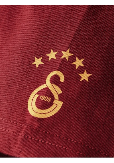 Gsstore Galatasaray Erkek T-shirt E252097 Bordo