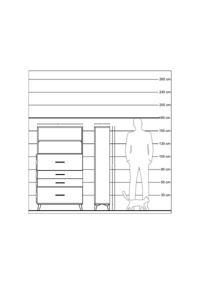 Arges Dolap 2 Raflı 4 Çekmeceli 88x30x163 Çam-antrasit Atlas Çam