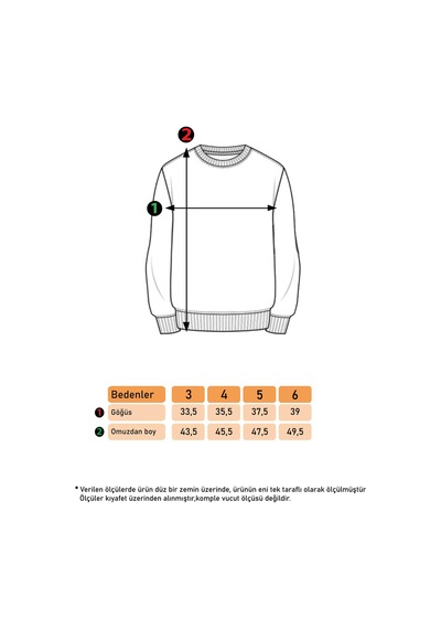 Toontoy Kids Toontoy Erkek Çocuk 3 Vıolatıon Baskılı Sweatshirt Siyah