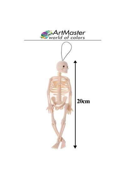 İskelet Modeli Plastik 20 Cm 1 Adet Silikon İnsan İskeleti Plastik İsket Modeli Silikon İskelet Deneyi Araba Süsü