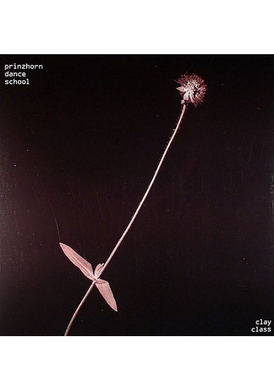 Prinzhorn Dance School - Clay Class , Lp New Wave