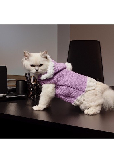 Kedi Ve Köpek İçin Kürklü Kapüşonlu Eflatun Kazak