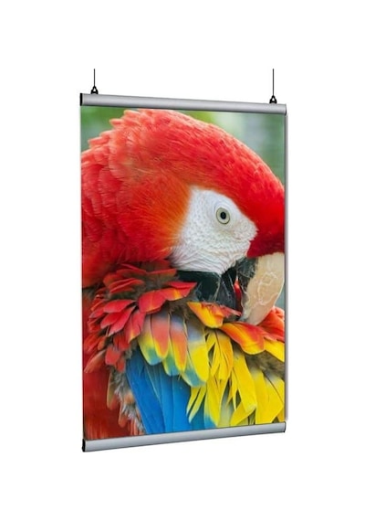 Poster Tutucu Clamp 70cm 10lu Paket