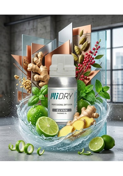 Midry Elvan 36121-s Ortam Kokusu 150 Ml Diğer