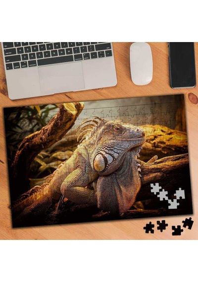 İguana Sürüngen Hayvan 240 Parça Puzzle Yapboz-75451
