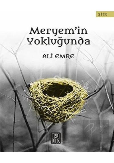 Meryem'in Yokluğunda - Ali Emre - Temmuz