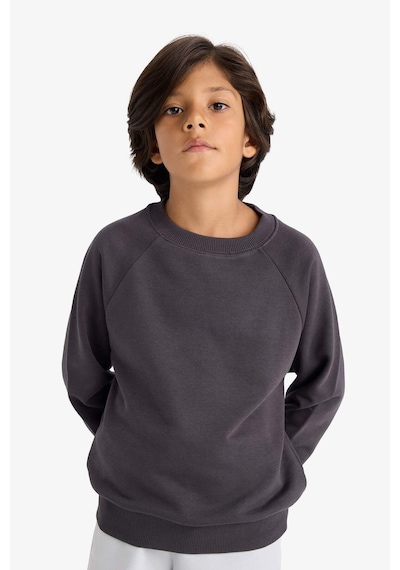 Defacto Erkek Çocuk Regular Fit Bisiklet Yaka Sweatshirt E8415a825auar138 Antrasit