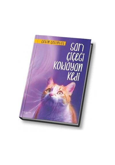 Sarı Çiçeği Koklayan Kedi