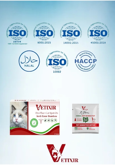 Kedi Bitkisel İç Dış Bit Pire Uzaklaştırıcı Ense Bitkisel Damla Seti - 5 Damla 2 Tablet