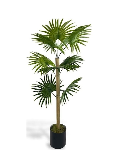 Yapay Ağaç Fanpalm 8yaprak 85 45cm Yelpaze Palmiye Siyah Aleminyum Saksı