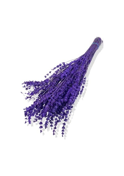 Kurutulmuş Lavanta Demeti 40-50 Cm 3 Adet 200-300 Dal Diğer