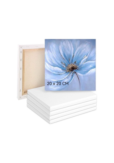 Erbo Boyama İçin Tuval 5'li Set, Tuval 20 X 20 Cm, Tuval %100 Pamuk, Boyama Tuvali, Tuval Çerçevesi, Akrilik, Sulu Bo Genel