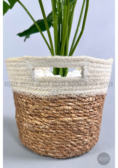 Yapay Monstera Deve Tabani 65 Cm Hasir Saksıda Krem