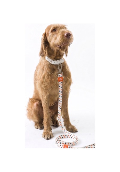 Köpekler İçin Dayanıklı Ve Güvenli, Desenli Gezdirme Tasması 25mm Pati