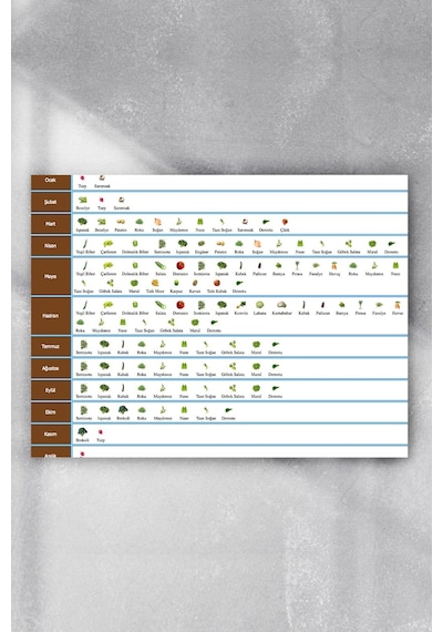 Aylar Ve Sebzeler Eğitim Posteri