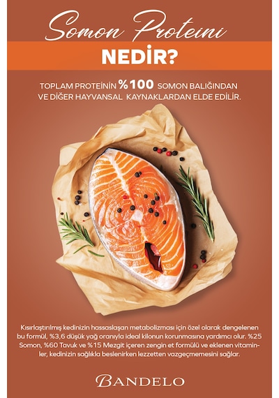 Somonlu Kısırlaştırılmış Yetişkin Kedi Yaş Maması - Jöle İçinde Parça Etli, 85 Gr X 24 Adet