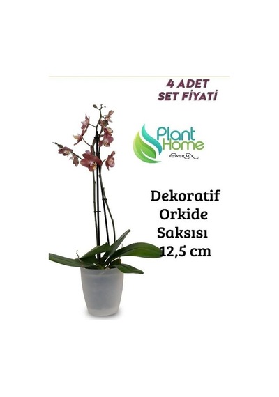 Dekoratif Şeffaf Orkide Saksısı - 4 Adet Set  - 12 Pot Üretim Saksısına Uygun Kaliteli Ürün