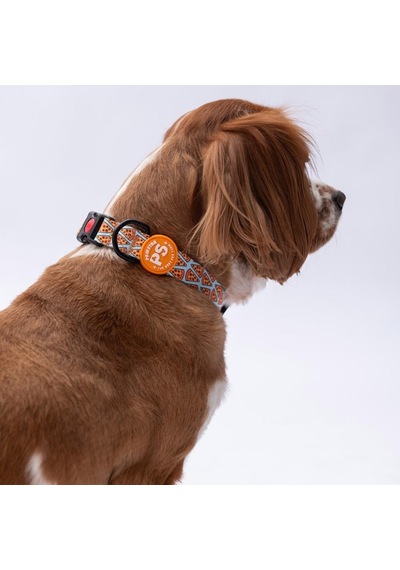 Pizza Desenli Köpek Boyun Tasması Ayarlanabilir Köpek Tasması Turkuaz