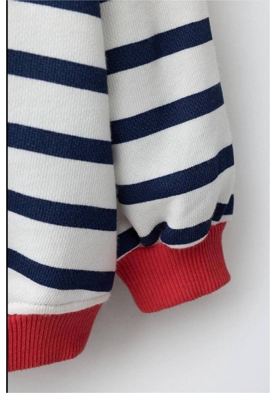 Poala Kids Çizgili Polo Yaka Sweatshirt Çok Renkli