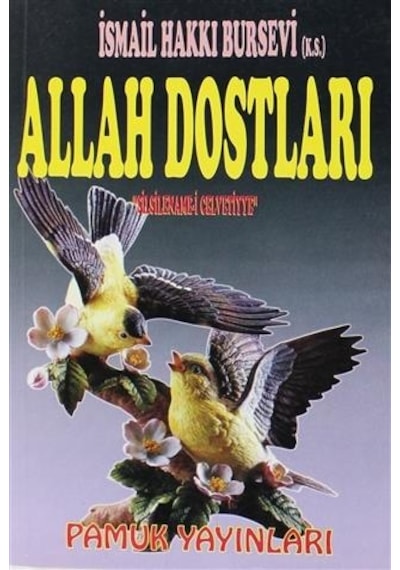 Allah Dostları Silsilenamei Celvettiye - Pamuk Yayınları