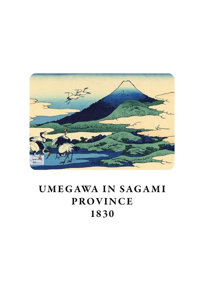 Retronote Hokusai 4'lü Defter Seti 4, Mount Fuji Series Iv, Çizgisiz, 64 Sayfa, 14x21cm Çok Renkli