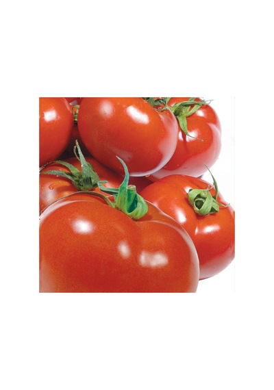 Domates Tohumu Yerli Sc2121 3 GRam N112074