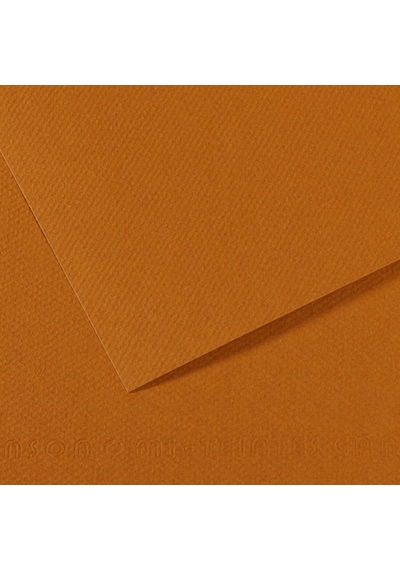 Canson Fon Kartonu Dokulu Mı-teıntes Sh Canmt 50x65 160g Brown 502 31032s109