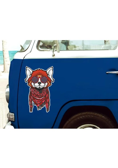 Gözlüklü Kedi Sticker - Araba Oto Motosiklet Karavan Cam Araç Sticker - 00296 15x9 Cm