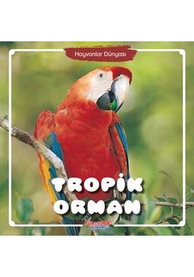 Hayvanlar Dünyası - Tropik Orman- Yumurcak Yayınları