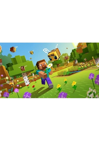 Ps4 Minecraft: Starter Collection