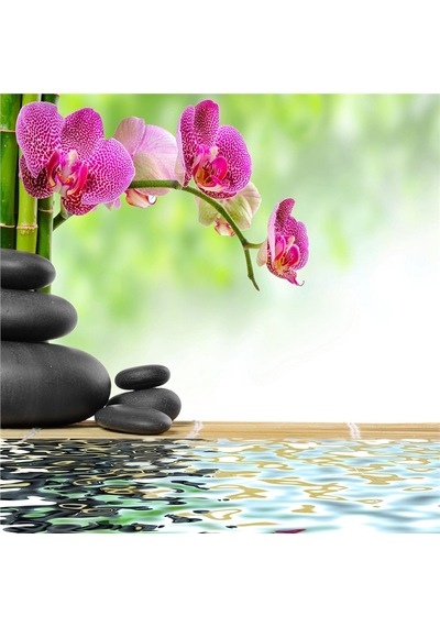Spa Taşları Ve Orkide Doğal Taş Bardak Altlığı 4'lü Set - Natural Stone Coasters - Taş Çok Renkli