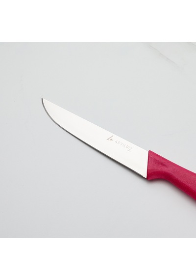 Aryıldız Primo Mutfak Bıçağı Bordo 14,5 Cm Renkli