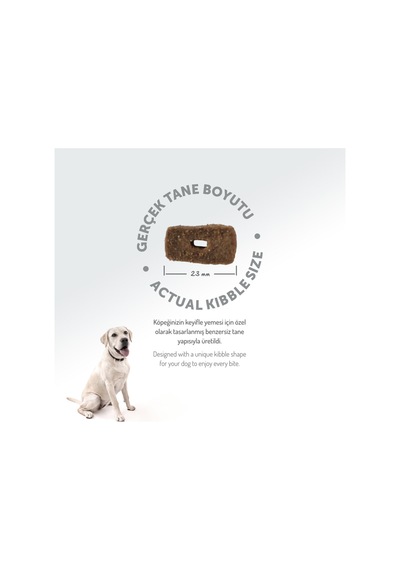 Aztahıllı Kuzulu M/large Breed Hypoallergenic Yetişkin Köpek Maması 15 Kg
