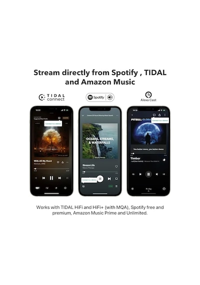 Wiim Mini Airplay2 Kablosuz Ses Aktarıcı