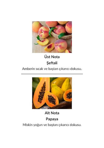 Alescia St-88 Kadın Parfüm EDP 50 ML