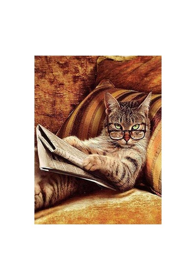 Keyfekeder Kedi Sayılarla Boyama Seti - Çerçeveli, 40x50cm