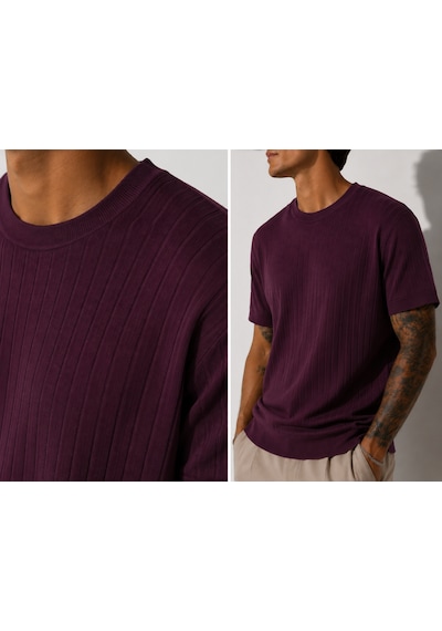 Ribana Erkek Kısa Kollu Fitilli Bisiklet Yaka Esnek T-shirt 26113 Mürdüm